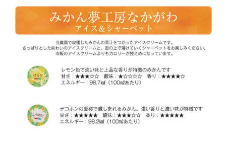 熊本県産柑橘で作ったアイス＆シャーベット5種セット（全10個） スイーツ デザート アイス アイスクリーム シャーベット 弓削瓢柑 ひょう柑 スイートスプリング はるか 不知火 河内晩柑 蜜柑 ミカン 贈り物 ギフト 贈答 お中元 お歳暮