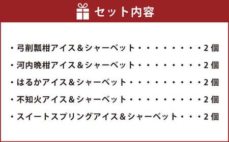 熊本県産柑橘で作ったアイス＆シャーベット5種セット（全10個） スイーツ デザート アイス アイスクリーム シャーベット 弓削瓢柑 ひょう柑 スイートスプリング はるか 不知火 河内晩柑 蜜柑 ミカン 贈り物 ギフト 贈答 お中元 お歳暮