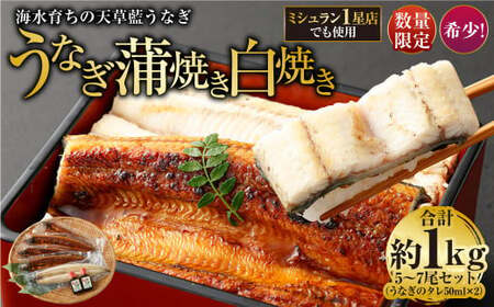 海水育ちの天草藍うなぎ 紅白5～7尾セット 合計約1kg タレ付き うなぎ 鰻 ウナギ 蒲焼き かば焼き うなぎの蒲焼 白焼き 魚 お魚 父の日
