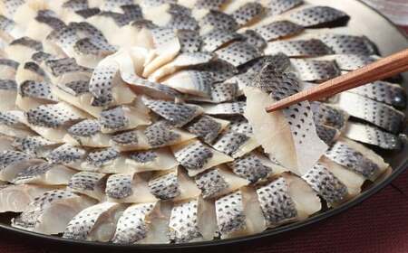 熊本県産酢〆コノシロパック 約1kg 天然 コノシロ このしろ 酢〆 寿司 おつまみ 魚介 魚 冷凍 熊本県産