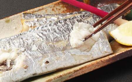 熊本県産太刀魚切り身 約1kg 天然 太刀魚 たちうお タチウオ 切り身 切身 煮付け 煮物 魚介 魚 冷凍 熊本県産