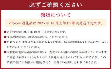 熊本県産 プレミアム 太秋柿 約2.5kg  【2025年10月上旬発送開始】 フルーツ くだもの 果物 柿 かき カキ たしゅうかき