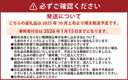 熊本県産みかん BUSAIKU MIKAN 3kg 【2025年10月上旬発送開始】 フルーツ 果物 くだもの みかん 蜜柑 柑橘