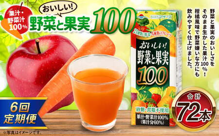 【6か月連続定期便】おいしい野菜と果実 200ml×12本×6回 合計72本 合計14.4L 果汁100% 野菜 果実 フルーツ ジュース フルーツジュース 常温 飲料 熊本県 らくのうマザーズ