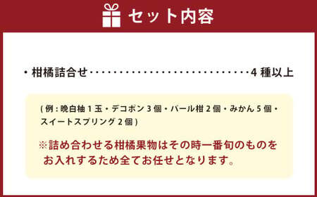 熊本県産 柑橘果物食べ比べセット 4種以上 【2026年1月上旬発送開始】 果物 フルーツ 柑橘 おまかせ 旬 旬のフルーツ