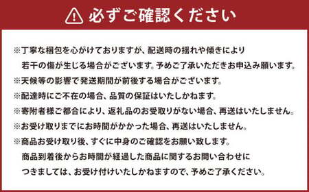 熊本県産 柑橘果物食べ比べセット 4種以上 【2026年1月上旬発送開始】 果物 フルーツ 柑橘 おまかせ 旬 旬のフルーツ