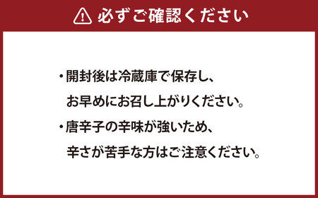 発酵料理人が考えた発酵万能調味料！阿蘇（あそ）とヤンニョム（薬念）を掛け合わせて生まれた「あそやむ」 100g×2個 計200g ／ ヤンニョム 調味料 発酵調味料 発酵 万能調味料 万能  ヴィーガン ご飯のお供 グルメ 惣菜 旨辛 九州 熊本県 冷蔵