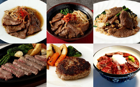 【年6回定期便】阿蘇あか牛満喫 定期便 / 6回定期便 6種類 あか牛 赤牛 牛肉 肉 モモ カルビ ロース サーロイン ハンバーグ ローストビーフ 霜降り 国産牛 定期便 九州 熊本県 冷凍