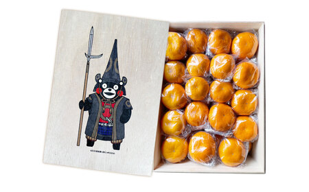 ～有明の潮風と太陽で育った～【年3回定期便】くまモン木箱入り！後藤農園の柑橘定期便 みかん ／ 年3回 3種類 計約52玉前後 ミカン 蜜柑 不知火 河内晩柑 晩柑 フルーツ 果実 果物 くまモン 後藤農園 定期便 九州 熊本県 常温