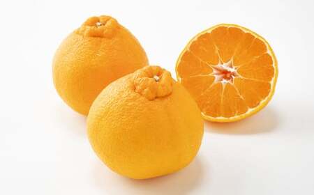 厳選されたデコポンの商品画像