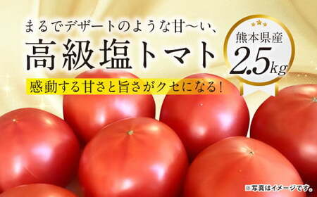 『まるでデザートのような甘～い、高級塩トマト』 約2.5kg 1箱 熊本県産 【2026年1月下旬発送開始】 野菜 やさい トマト とまと 塩トマト