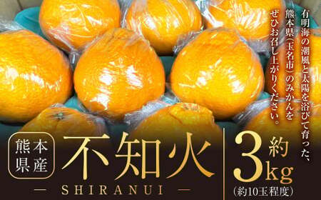 不知火 約3kg （約10玉程） 柑橘 果物 しらぬい みかん 蜜柑 くだもの 【2026年2月下旬発送開始】