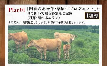 ~食べることは生きること~ 草原の魅力を学び、味わいながらシェフと草原の話をし、阿蘇の未来を考える特別な食事と体験(特別なご案内1組) チケット 体験 サステナブル