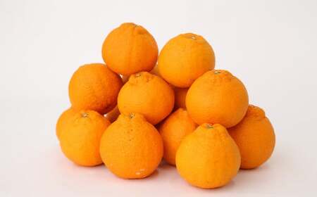 熊本県産 不知火柑 約4.5kg しらぬい 果物 柑橘類 みかん 蜜柑 【2026年2月下旬発送開始】