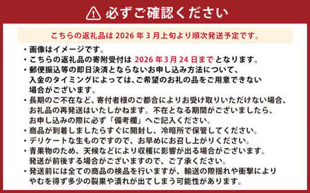 熊本県産 デコポン 約5kg 蜜柑 みかん 柑橘 果物 くだもの フルーツ  【2026年3月上旬発送開始】