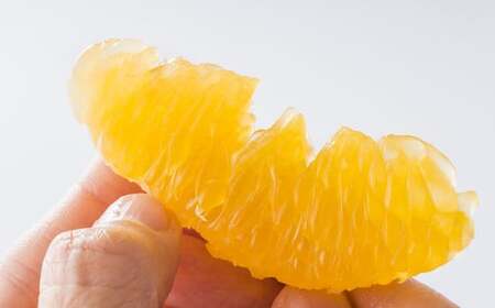 熊本県産 デコポン 3kg 果物 フルーツ くだもの 柑橘 みかん 蜜柑 【2026年3月上旬発送開始】