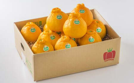 熊本県産 デコポン 3kg 果物 フルーツ くだもの 柑橘 みかん 蜜柑 【2026年3月上旬発送開始】