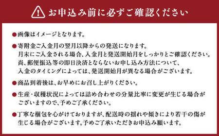 【6か月隔月定期便】旬の熊本フルーツ詰め合わせ定期便 熊本県産 果物 毎月お届けギフト