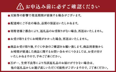 【6か月隔月定期便】旬の熊本フルーツ詰め合わせ定期便 熊本県産 果物 毎月お届けギフト