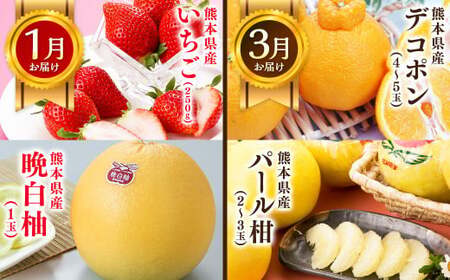 【6か月隔月定期便】旬の熊本フルーツ詰め合わせ定期便 熊本県産 果物 毎月お届けギフト
