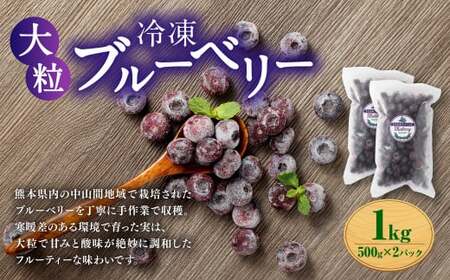 熊本県産 大粒 冷凍ブルーベリー 1kg（500g×2パック） フルーツ 果物 くだもの 冷凍 ブルーベリー 国産