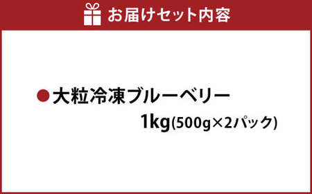 熊本県産 大粒 冷凍ブルーベリー 1kg（500g×2パック） フルーツ 果物 くだもの 冷凍 ブルーベリー 国産