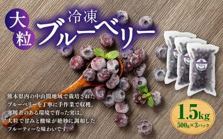 熊本県産 大粒 冷凍ブルーベリー 1.5kg（500g×3パック） フルーツ 果物 くだもの 冷凍 ブルーベリー 国産