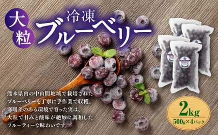 熊本県産 大粒 冷凍ブルーベリー 2kg（500g×4パック） フルーツ 果物 くだもの 冷凍 ブルーベリー 国産