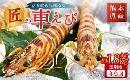 【年6回定期便】熊本県産匠の車えび（活き締め急速冷凍）約300g（9尾～12尾）×6回 合計約1800g