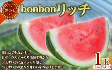 黒小玉 bonbonリッチ 1玉（2.5kg以上） スイカ すいか 西瓜 小玉スイカ 小玉すいか 小玉西瓜 小玉 果物 【2026年5月下旬発送開始】