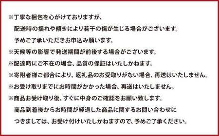 熊本県産 デコポン 5kg【2026年1月下旬～5月上旬順次発送予定】果物 くだもの フルーツ 柑橘 蜜柑 みかん 