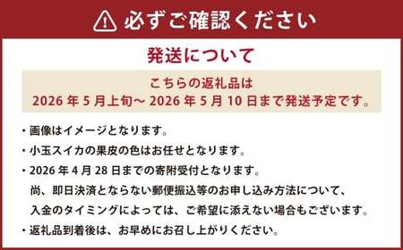 《 母の日 》 小玉スイカ1玉とカーネーション1鉢 【2026年5月上旬発送(母の日)】 先行予約 果物 スイカ 花 カーネーション 贈答 ギフト 贈り物