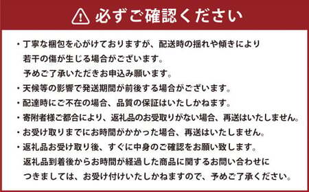 《 母の日 》 小玉スイカ1玉とカーネーション1鉢 【2026年5月上旬発送(母の日)】 先行予約 果物 スイカ 花 カーネーション 贈答 ギフト 贈り物