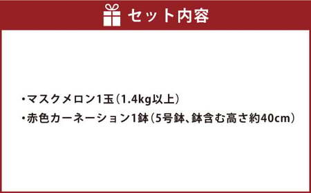 《 母の日 》 マスクメロン1玉とカーネーション1鉢 【2026年5月上旬発送（母の日）】 先行予約 果物 メロン 青肉 花 カーネーション 贈答 ギフト 贈り物