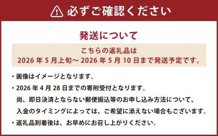 《 母の日 》 マスクメロン1玉とカーネーション1鉢 【2026年5月上旬発送（母の日）】 先行予約 果物 メロン 青肉 花 カーネーション 贈答 ギフト 贈り物