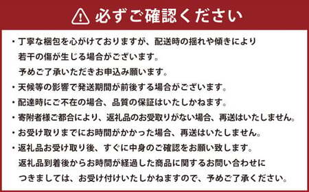 《 母の日 》 マスクメロン1玉とカーネーション1鉢 【2026年5月上旬発送（母の日）】 先行予約 果物 メロン 青肉 花 カーネーション 贈答 ギフト 贈り物