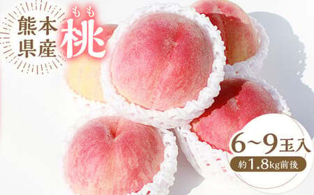 熊本県産桃 約1.8キロ前後 【2026年6月上旬発送開始】 果物 フルーツ 果実 もも 桃 モモ 千代姫 花嫁 サクヒメ 白鳳 なつっこ あかつき 冷蔵便 熊本県産