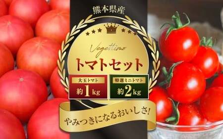 Vegettimoトマトセット 大玉トマト1kg＋特選ミニトマト2kg（熊本県産） 【2026年1月下旬発送開始】 甘い 野菜 爽やか 濃厚 真っ赤 フルーツトマト とまと 国産 常温