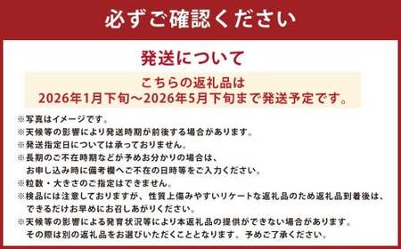 Vegettimoトマトセット 大玉トマト1kg＋特選ミニトマト2kg（熊本県産） 【2026年1月下旬発送開始】 甘い 野菜 爽やか 濃厚 真っ赤 フルーツトマト とまと 国産 常温