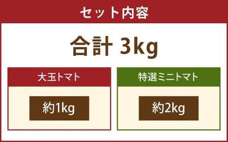 Vegettimoトマトセット 大玉トマト1kg＋特選ミニトマト2kg（熊本県産） 【2026年1月下旬発送開始】 甘い 野菜 爽やか 濃厚 真っ赤 フルーツトマト とまと 国産 常温
