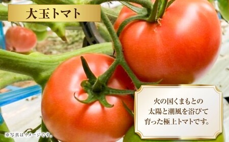 Vegettimoトマトセット 大玉トマト1kg＋特選ミニトマト2kg（熊本県産） 【2026年1月下旬発送開始】 甘い 野菜 爽やか 濃厚 真っ赤 フルーツトマト とまと 国産 常温