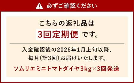 【年3回定期便／2026年1月発送開始】 ソムリエ ミニ トマト ダイヤ 3kg×3回 合計9kg とまと トマト 野菜 やさい 熊本県産 国産 
