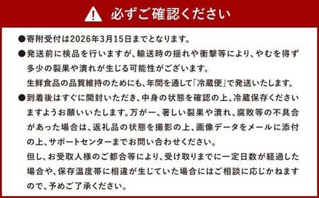 【年3回定期便／2026年1月発送開始】 ソムリエ ミニ トマト ダイヤ 3kg×3回 合計9kg とまと トマト 野菜 やさい 熊本県産 国産 