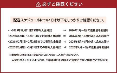 【2026年1月～4月より3か月連続発送】熊本便り！旬の柑橘堪能定期便