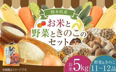 【令和7年度産】 熊本県（七城）産のお米と熊本県産の野菜ときのこ お米（5kg）・野菜＆きのこ（11～12品） 精米 単一原料米 ひのひかり   ジャガイモ ニンジン シイタケ 【2025年11月上旬発送開始】