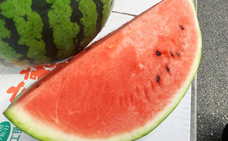 熊本県産大玉すいか ラオウザスイート1玉入り 1玉当たり約6kg 果物 フルーツ 西瓜 すいか スイカ 大玉 大玉スイカ 大玉すいか 常温 熊本県産 【2026年5月上旬発送開始】