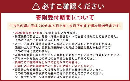 熊本県産大玉すいか ラオウザスイート1玉入り 1玉当たり約6kg 果物 フルーツ 西瓜 すいか スイカ 大玉 大玉スイカ 大玉すいか 常温 熊本県産 【2026年5月上旬発送開始】