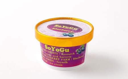 SOYOGU8個セット ブルーベリー 豆乳 8個 阿蘇 アイス 熊本県産