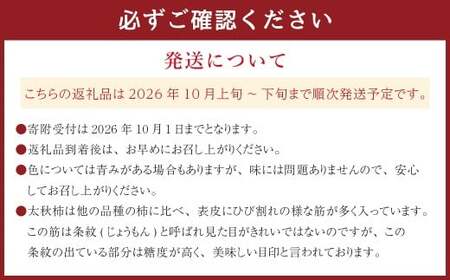 熊本県産 プレミアム 太秋柿 約2.5kg  【2026年10月上旬発送開始】 フルーツ くだもの 果物 柿 かき カキ たしゅうかき
