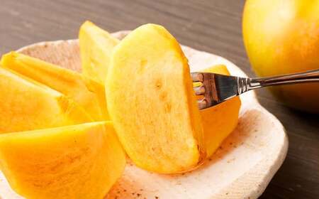 熊本県産 プレミアム 太秋柿 約2.5kg  【2026年10月上旬発送開始】 フルーツ くだもの 果物 柿 かき カキ たしゅうかき